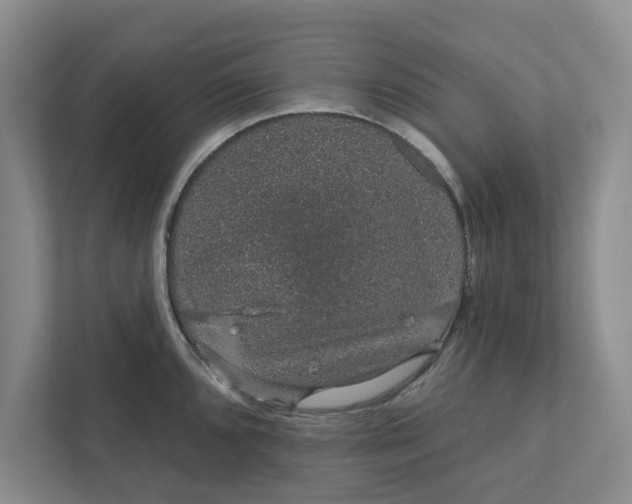 X0000111931096200908171231