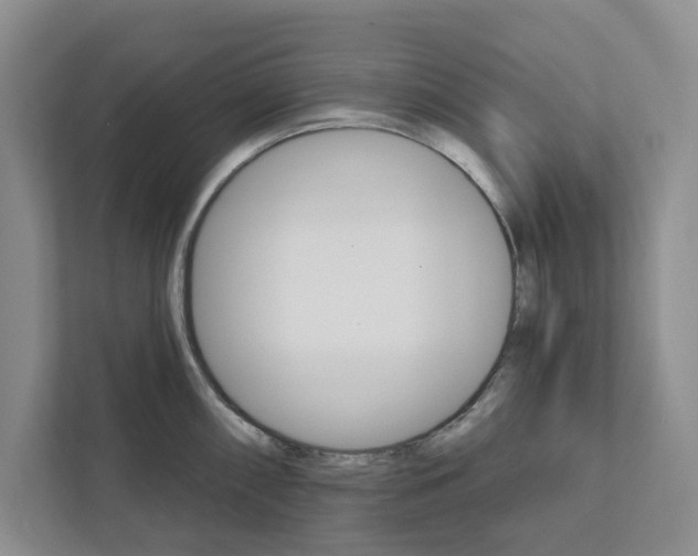 X0000111931098200908171231