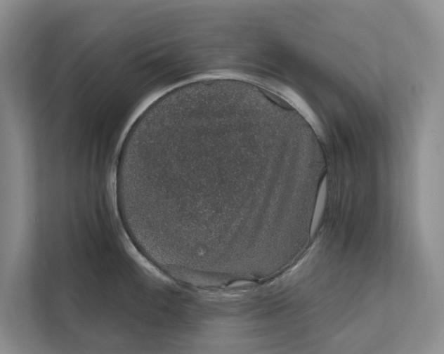 X0000111931100200908171231