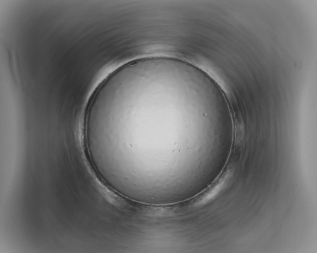 X0000111931101200908171231