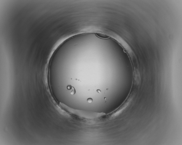 X0000111931102200908171231