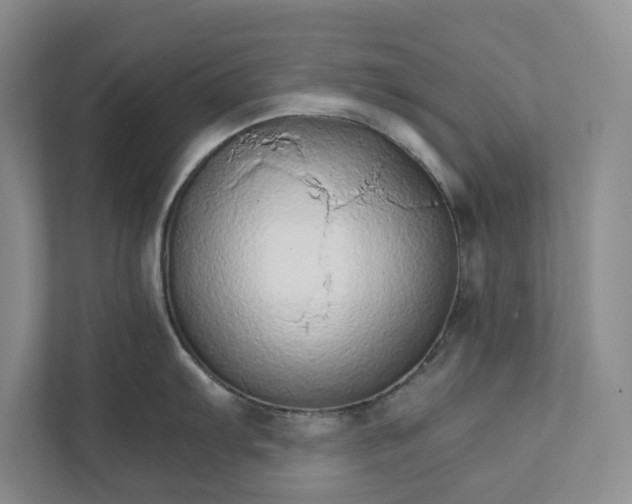 X0000111931103200908171231