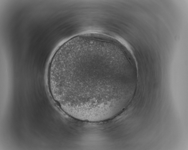 X0000111931104200908171231