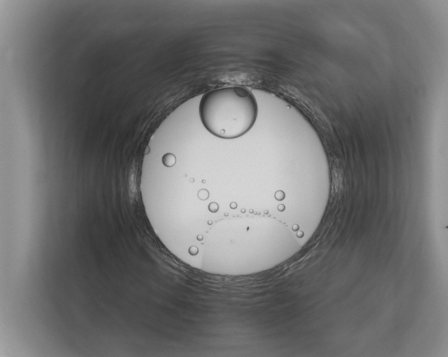 X0000111931106200908171231