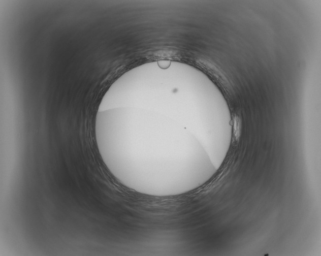 X0000111931107200908171231