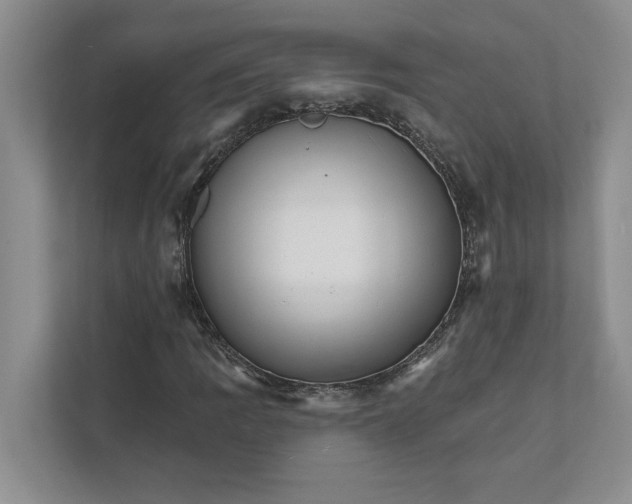 X0000111931109200908171231