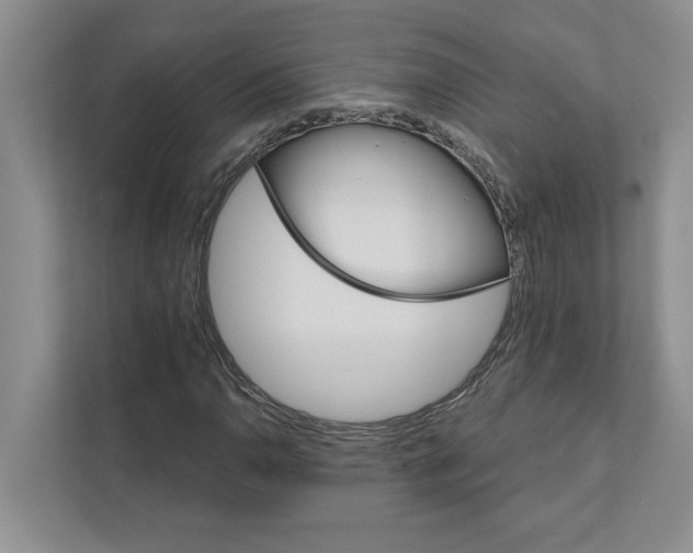 X0000111931110200908171231