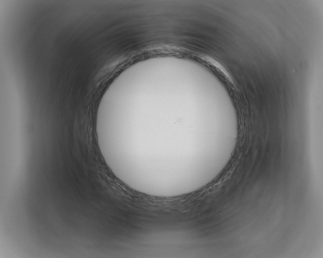 X0000111931111200908171231