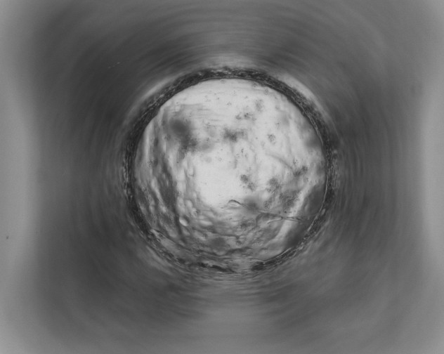 X0000111931112200908171231