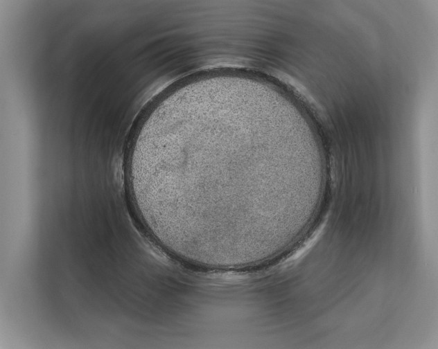 X0000111931113200908171231