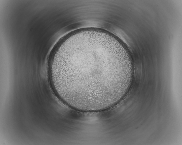 X0000111931116200908171231