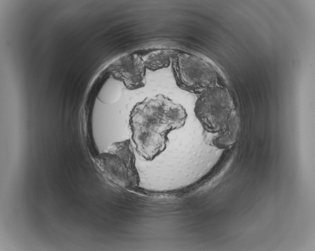 X0000111931117200908171231