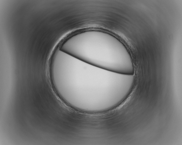 X0000111931118200908171231