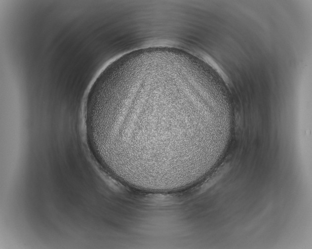 X0000111931124200908171231