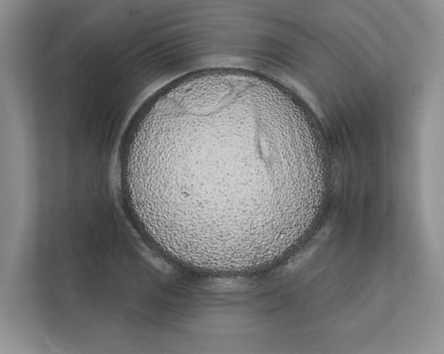 X0000111931125200908171231