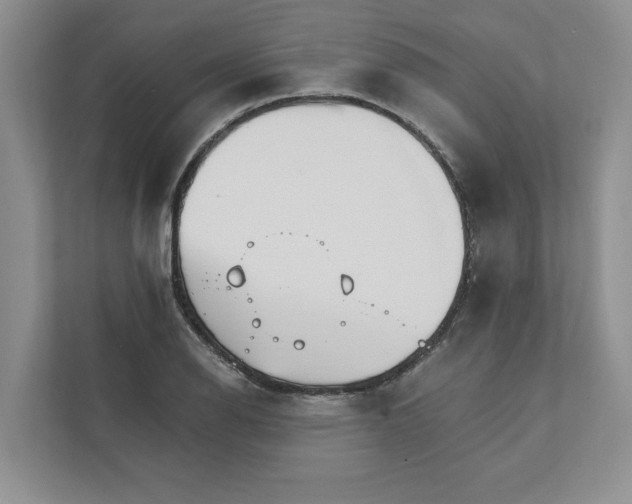 X0000111931126200908171231