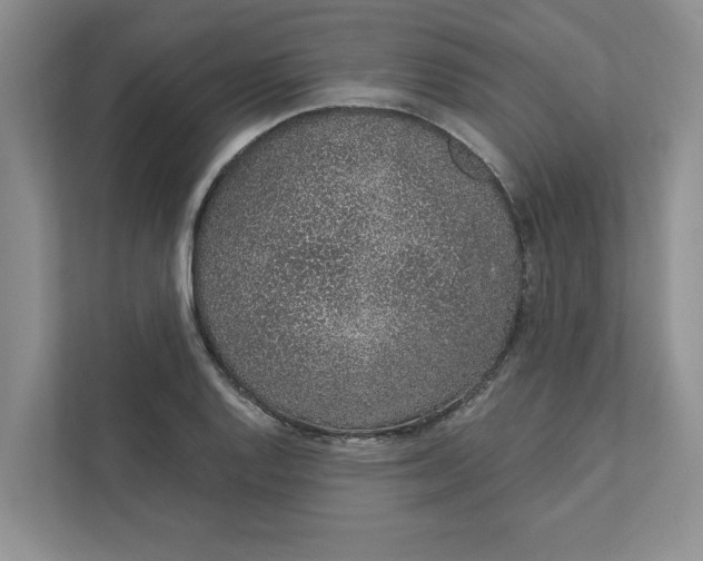 X0000111931128200908171231