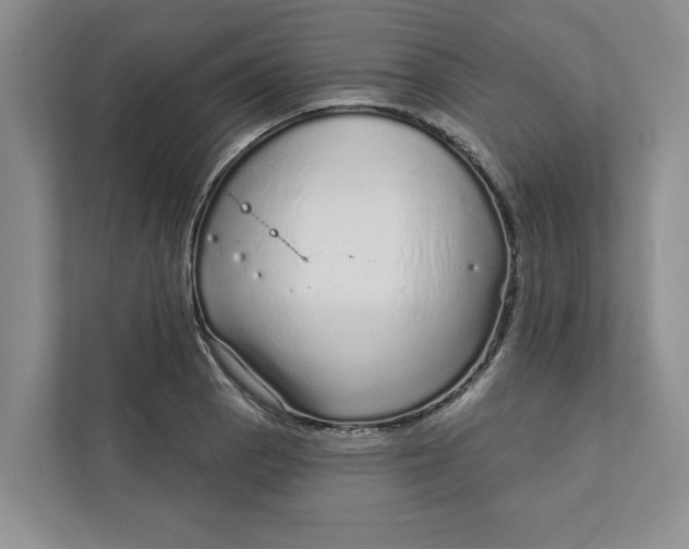 X0000111931129200908171231