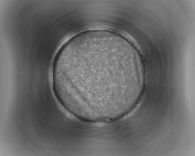 X0000111931130200908171231