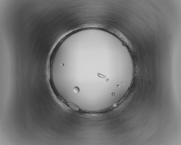 X0000111931132200908171231