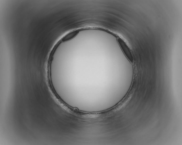 X0000111931134200908171231