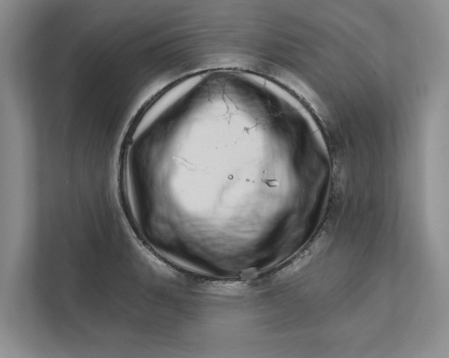 X0000111931135200908171231