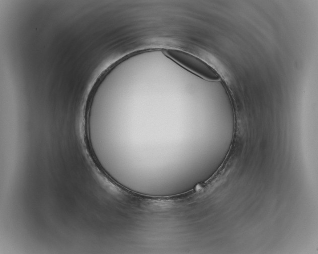 X0000111931136200908171231