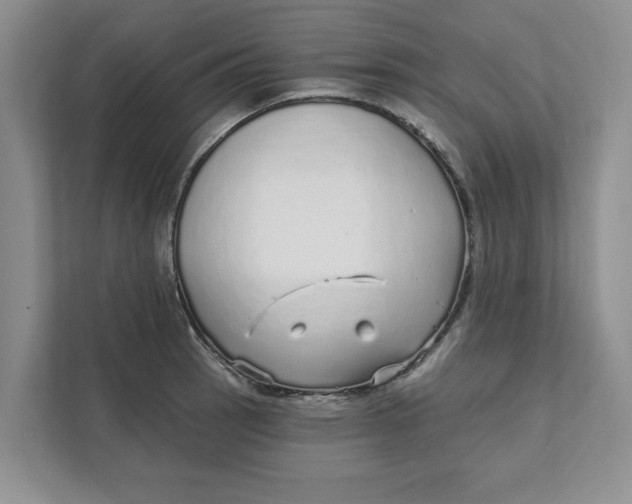 X0000111931137200908171231