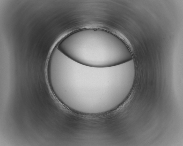 X0000111931138200908171231