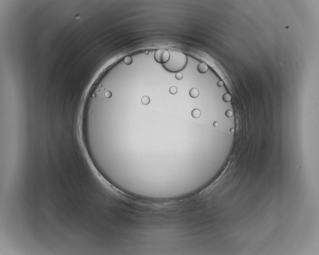 X0000111931139200908171231