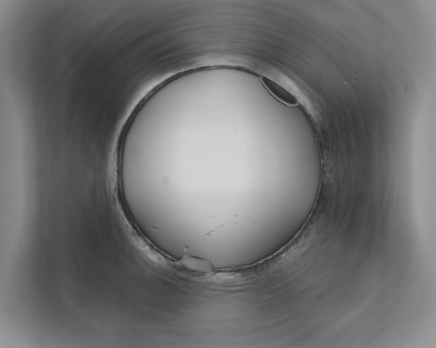 X0000111931140200908171231