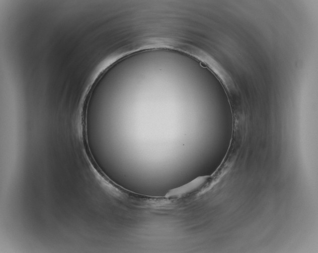 X0000111931143200908171231