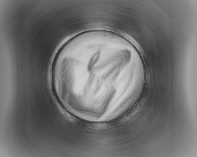 X0000111931144200908171231