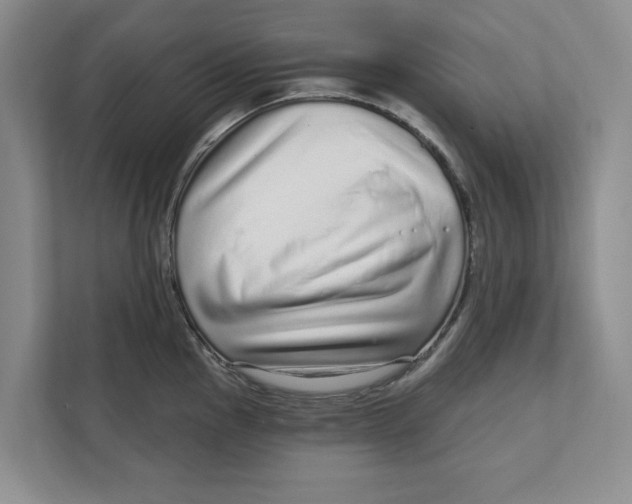 X0000111931145200908171231