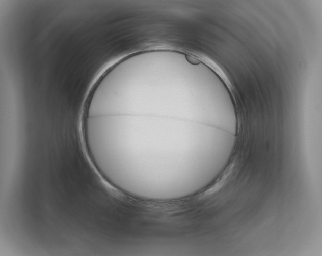 X0000111931149200908171231