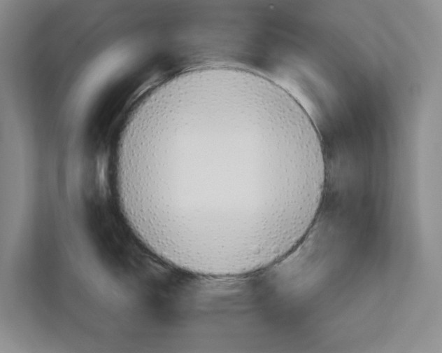 X0000111931150200908171231