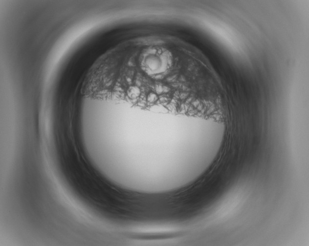 X0000111931151200908171231