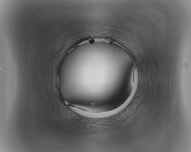 X0000111931153200908171231