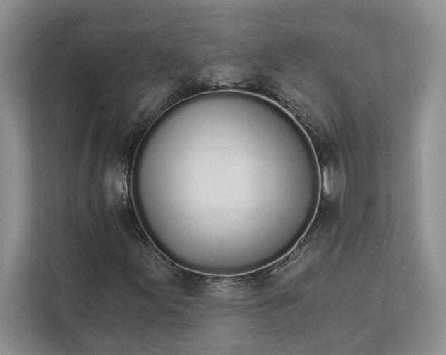 X0000111931155200908171231