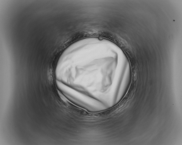 X0000111931156200908171231