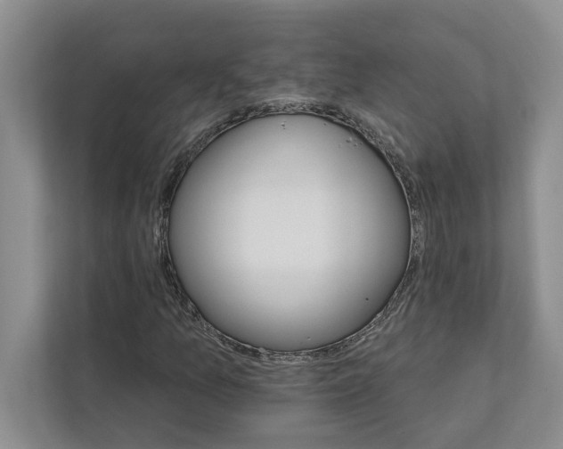 X0000111931157200908171231