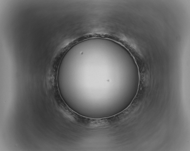 X0000111931159200908171231