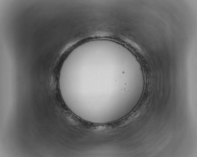 X0000111931160200908171231