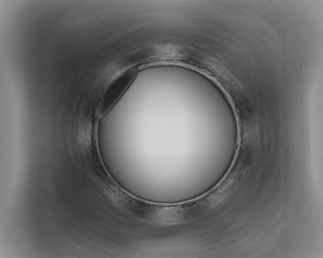 X0000111931161200908171231