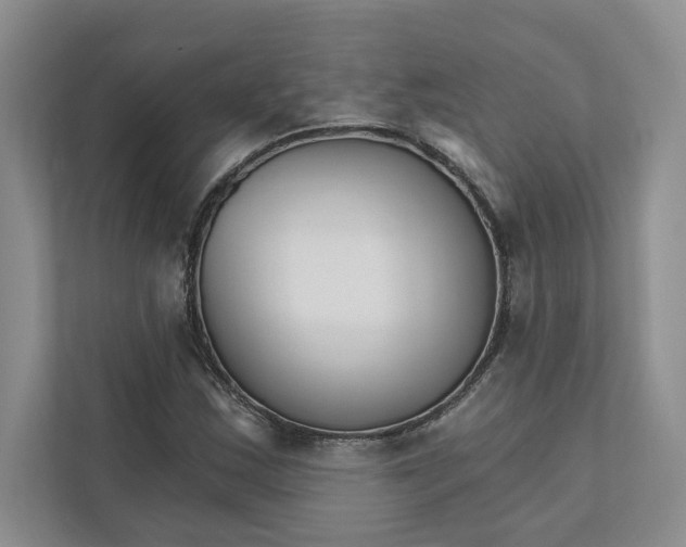 X0000111931163200908171231