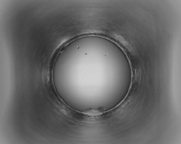 X0000111931165200908171231