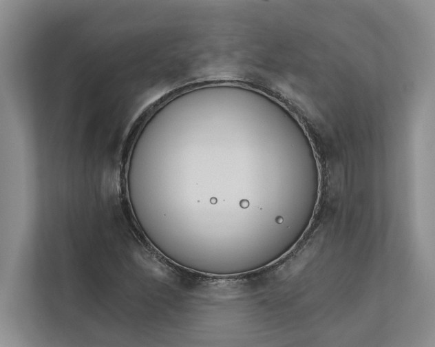 X0000111931166200908171230