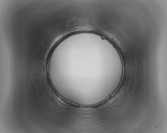 X0000111931168200908171230