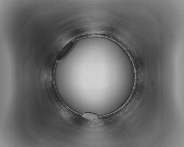 X0000111931169200908171230