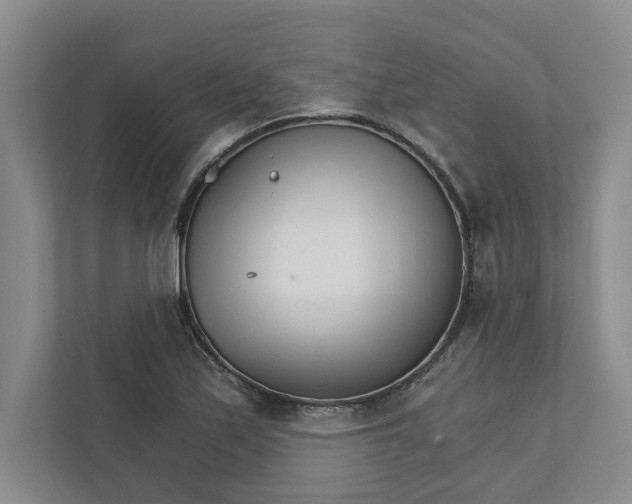 X0000111931171200908171230